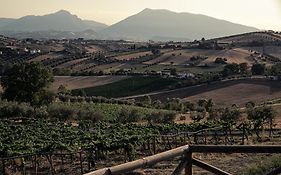 Agriturismo Emidio Pepe